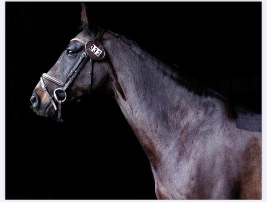Dark Brown Medium Show Number